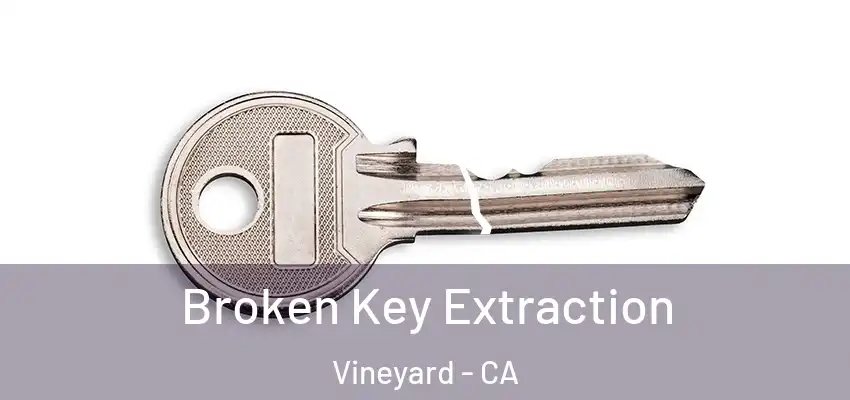  Broken Key Extraction Vineyard - CA