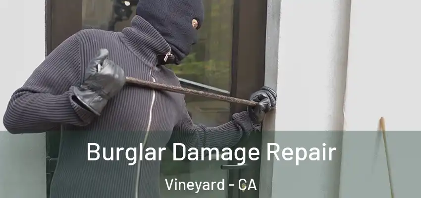  Burglar Damage Repair Vineyard - CA