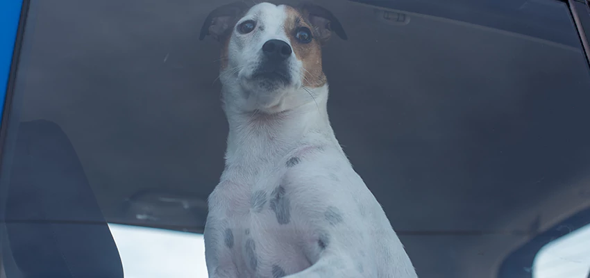 Car Lockout Solutions in Vineyard, California