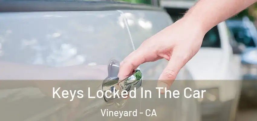  Keys Locked In The Car Vineyard - CA