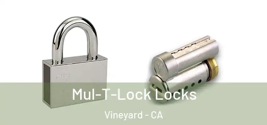  Mul-T-Lock Locks Vineyard - CA